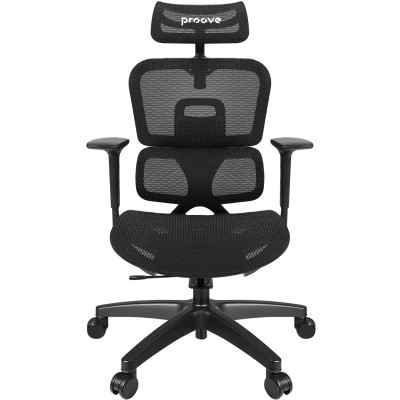 CEO