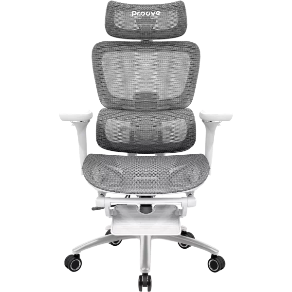 Ergonomic Chair Proove P&L