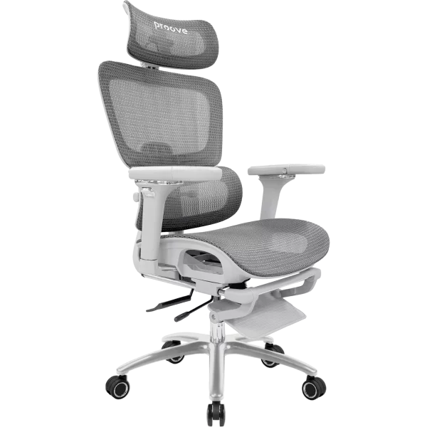 Ergonomic Chair Proove P&L - foto 1