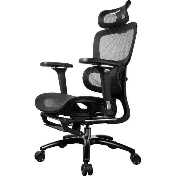 Ergonomic Chair Proove P&L - Photo 1