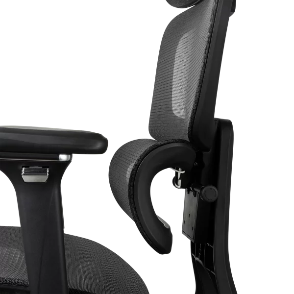Ergonomic Chair Proove P&L - Photo 10