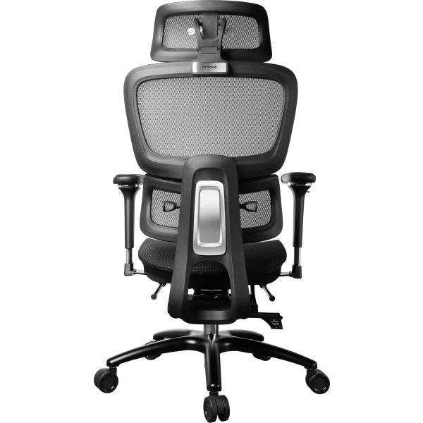 Ergonomic Chair Proove P&L - Photo 3