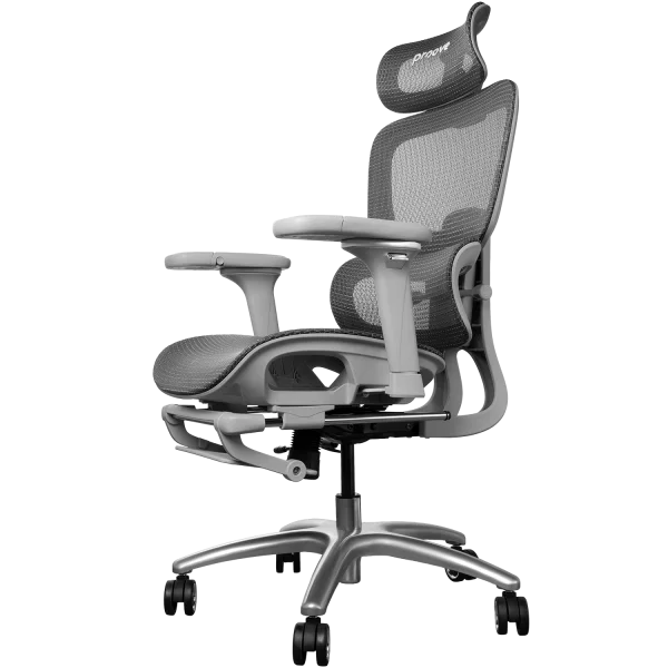 Ergonomic Chair Proove P&L - Photo 1