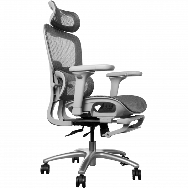 Ergonomic Chair Proove P&L - Photo 2
