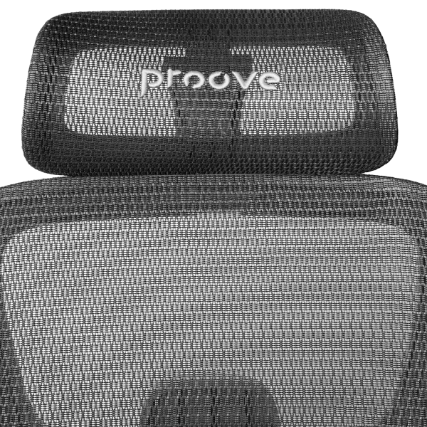 Ergonomic Chair Proove P&L - Photo 5