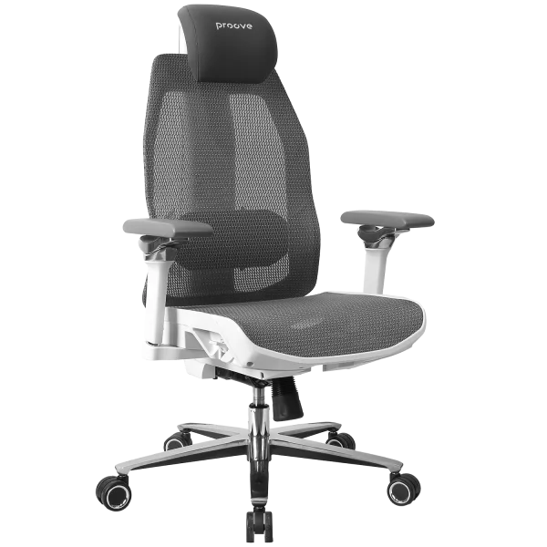 Ergonomic Chair Proove Founder - Photo 1