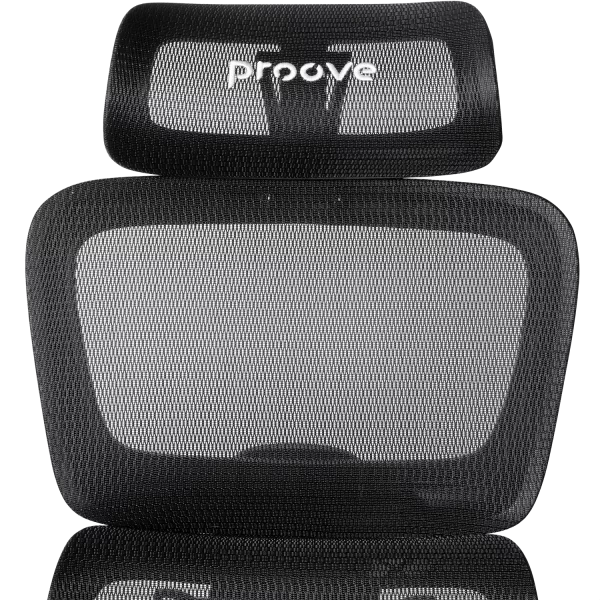 Ergonomic Chair Proove P&L - Photo 4