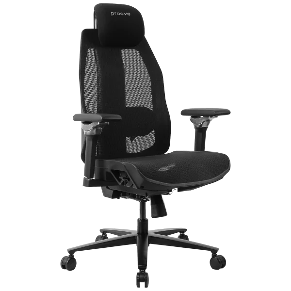 Ergonomic Chair Proove Founder - Photo 1